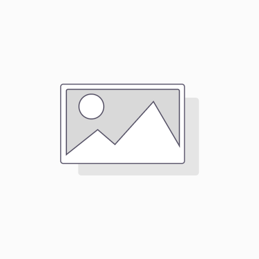Parsec: BOSTON TERRIER